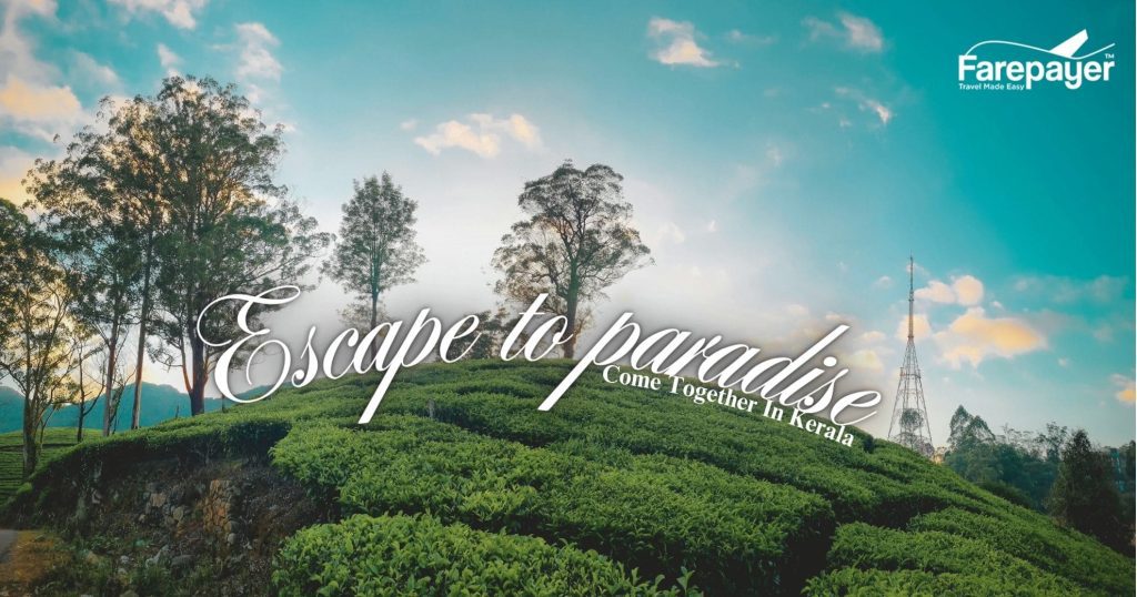 Kerala Tour Package from Delhi | TravelblissDMC Travels